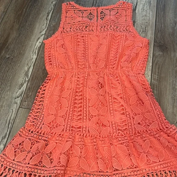 BB Dakota Sandra Mini Dress in Coral 🪸 Sugar Size M - Picture 9 of 11